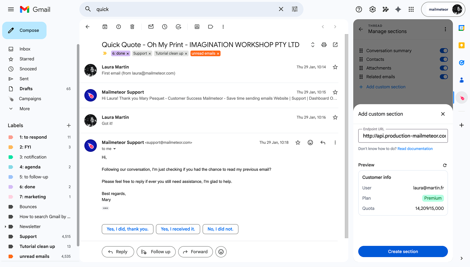 Entering an endpoint URL and previewing the custom section