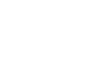 Gmail White logo
